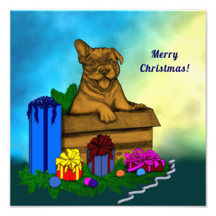 Foto Cachorro em Uma Caixa, Feliz Natal