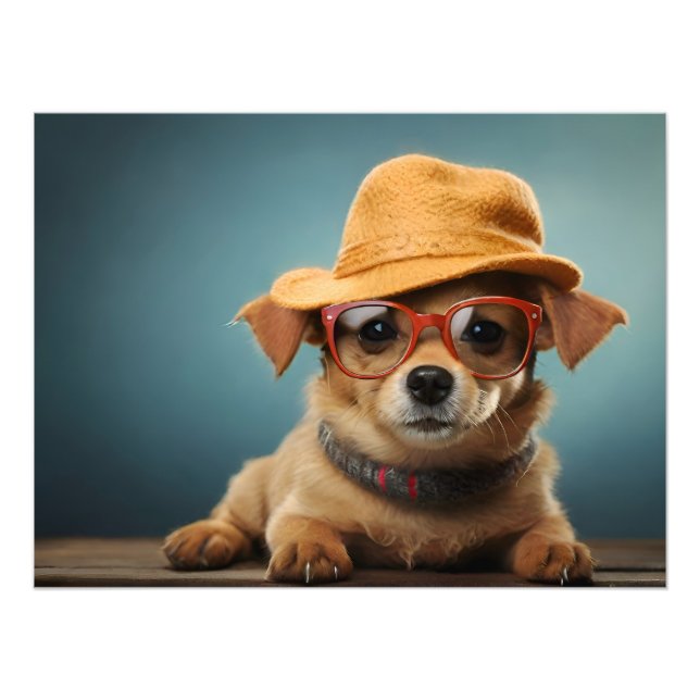 Foto Cachorro engraçado com óculos e chapéu (Frente)
