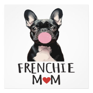 Foto Cachorro francês fofo