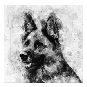 Foto Cachorro german shepherd Preto e Branco Aquarela