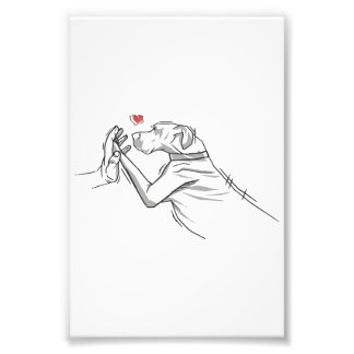 Foto Cachorro Grande