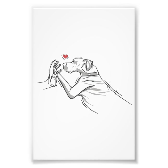 Foto Cachorro Grande (Frente)