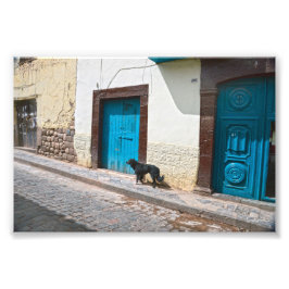 Foto Cachorro Negro em Cusco, Peru