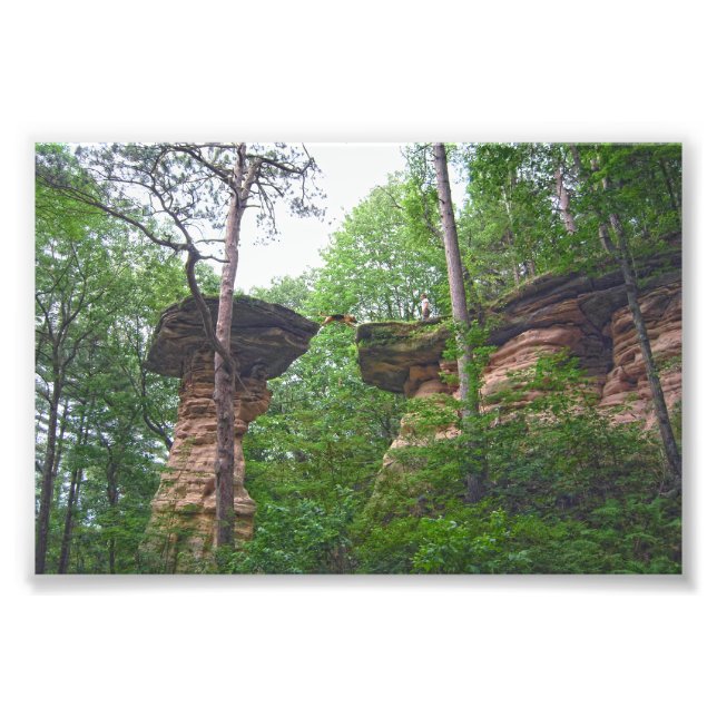 Foto Cachorro Saltando de Stand Rock em Wisconsin Dells (Frente)