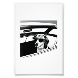 Foto Cachorro Vestindo Óculos Andando em Carro Impressã