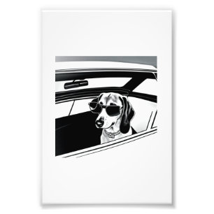 Foto Cachorro Vestindo Óculos Andando em Carro Impressã