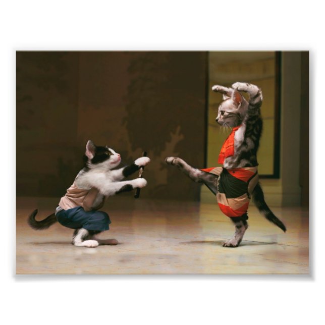Foto Cães de Karate (Frente)