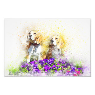Foto Cães Gêmeos