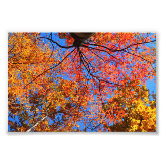 Foto Cair Canopy