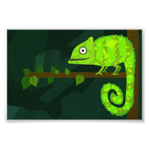 Foto Camaleão bonito verde