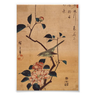 Foto Camélia oriental e toutinegra