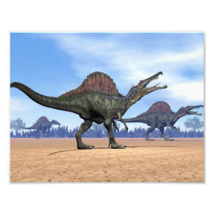 Foto Caminhada dos dinossauros de Spinosaurus - 3D