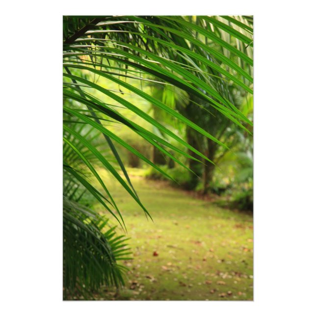 Foto Caminho (Frente)