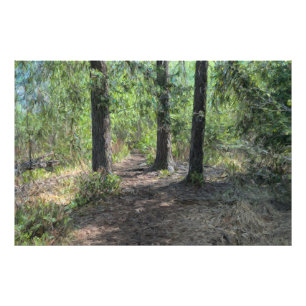 Foto Caminho da floresta