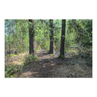 Foto Caminho da floresta
