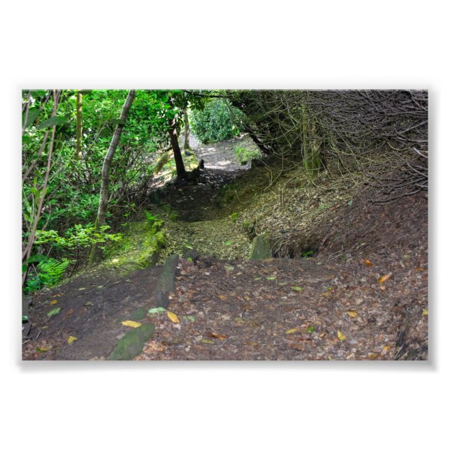 Foto Caminho da Floresta em Allan Park Sowerby Bridge (Frente)