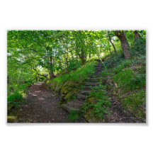 Caminho da Floresta no Parque Allan Sowerby Bridge