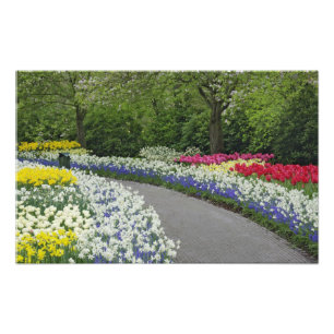 Foto Caminho de calçada através de tulipas e narcisos,