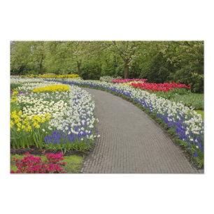 Foto Caminho de calçada através de tulipas e narcisos,