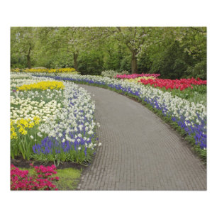 Foto Caminho de calçada através de tulipas e narcisos,