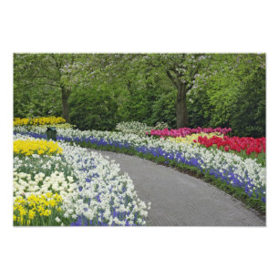 Foto Caminho de calçada através de tulipas e narcisos,