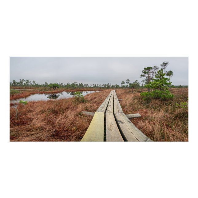 Foto Caminho de caminhada em pântano (Frente)