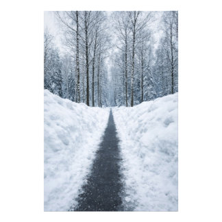 Foto Caminho de Floresta de Inverno Nebuloso Poster de 