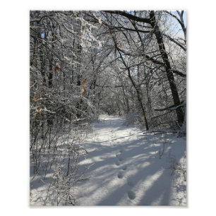 Foto Caminho De Madeira Em Uma Neve De Inverno