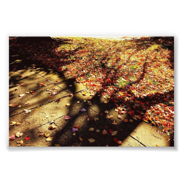 Foto Caminho de outono (Frente)