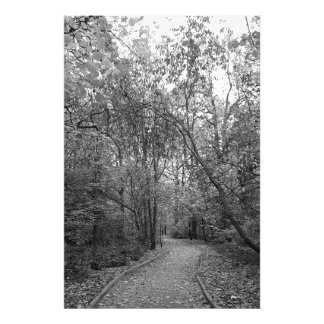 Foto Caminho Silencioso da Floresta de Outono – Edição 
