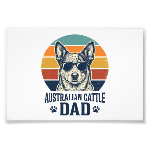 Foto Camisa do Pai do Cão de Gado Australiano Pôr do So