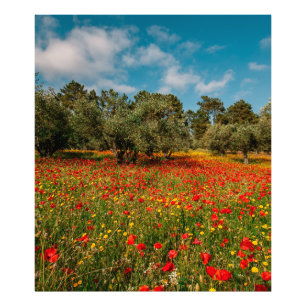Foto campo com flores e árvores