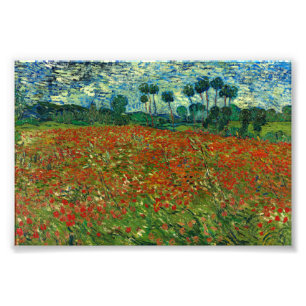 Foto Campo com papagaios por Van Gogh Fine Art