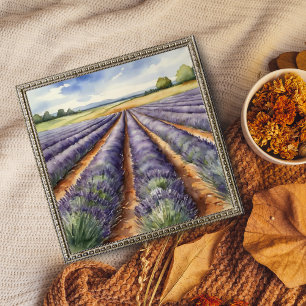 Foto : Campo de Lavanda de Tranquilo