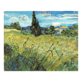 Foto Campo de trigo verde Vincent van Gogh