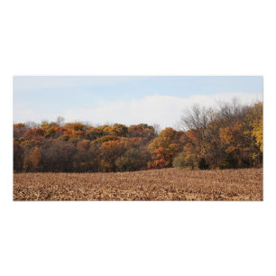 Foto Campo do outono