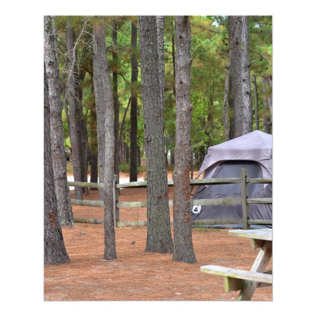 Foto Campos com tenda e cerca em matas (Frente)