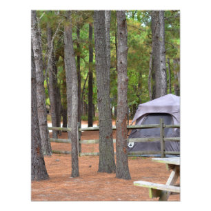 Foto Campos com tenda e cerca em matas