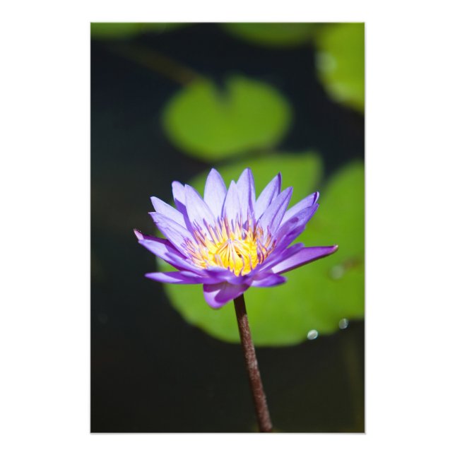 Foto Cancun, México (Frente)