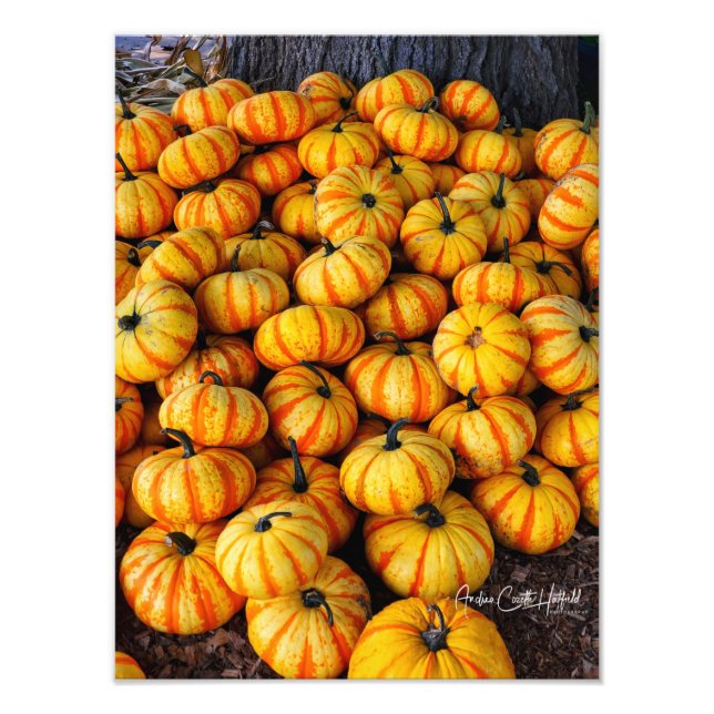 Foto Candy Corn (Frente)