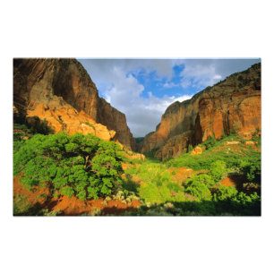 Foto Cânion Kolob no Zion Canyon no Parque Nacional Zio