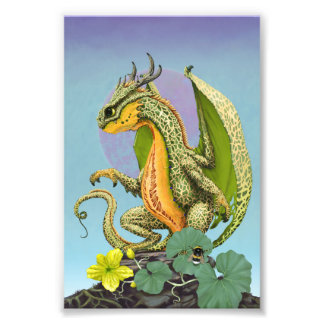 Foto Cantaloupe Dragon 4x6 Impressão