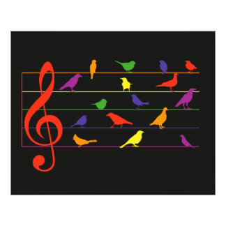Foto Canto de Pássaro, design colorido
