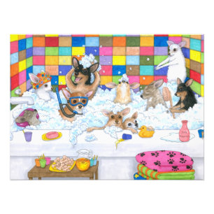 Foto Cão 121 Chihuahua engraçado em banho