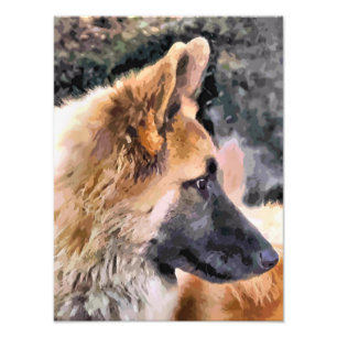 FOTO CÃO DE GERMAN SHEPHERD