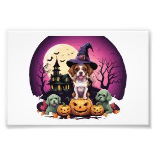 Foto Cão de Halloween Amantes do Outono