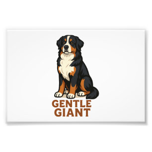 Foto Cão de Montanha Bernês Gigante Gentil.
