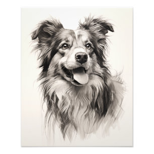 Foto Cão Espírito Livre Preto e Branco
