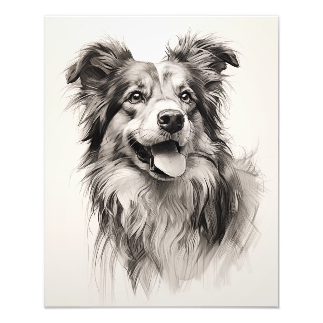 Foto Cão Espírito Livre Preto e Branco (Frente)