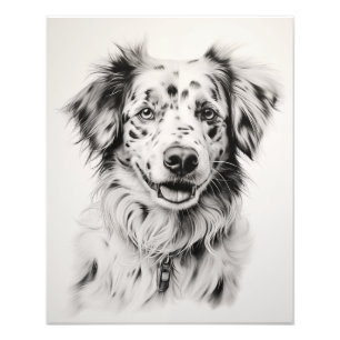 Foto Cão Espírito Livre Preto e Branco